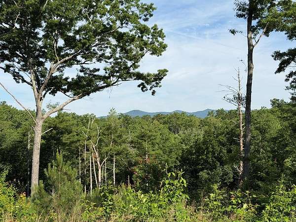 3.17 Acres of Residential Land for Sale in Ellijay, Georgia