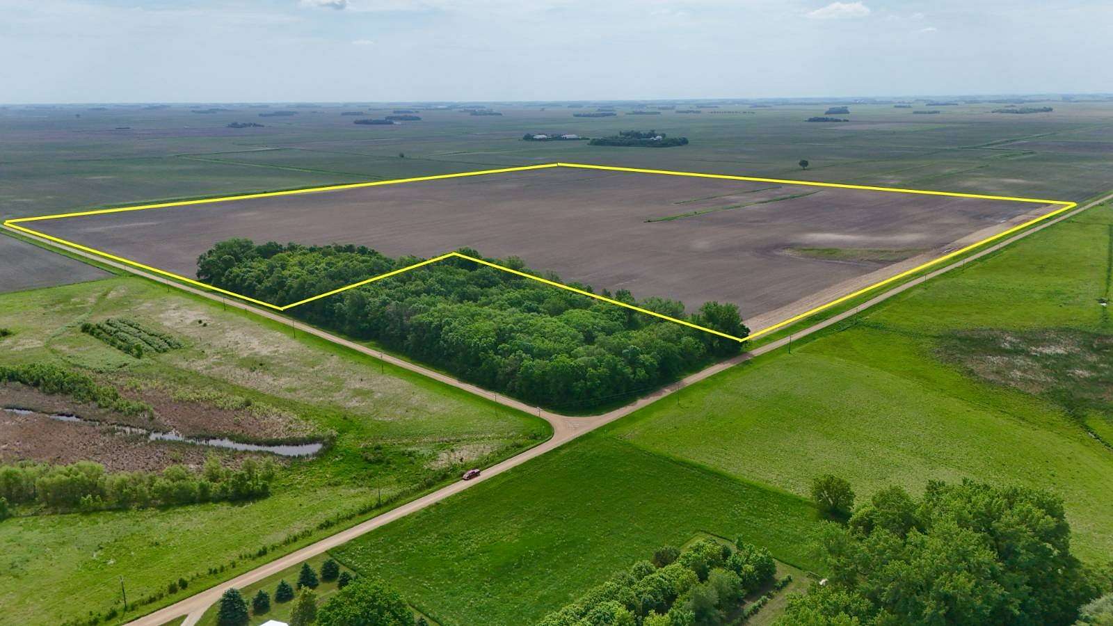 155 Acres of Agricultural Land for Auction in Echo, Minnesota