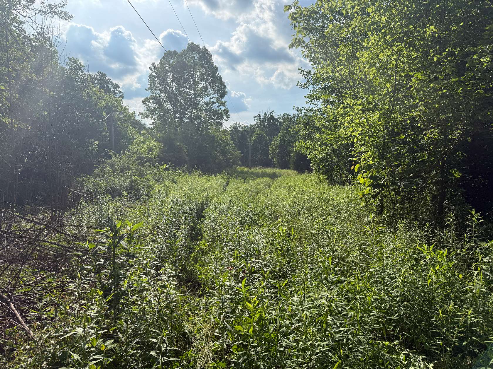 1 Acre of Land for Sale in Liberty, Kentucky