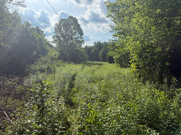 1 Acre of Land for Sale in Liberty, Kentucky