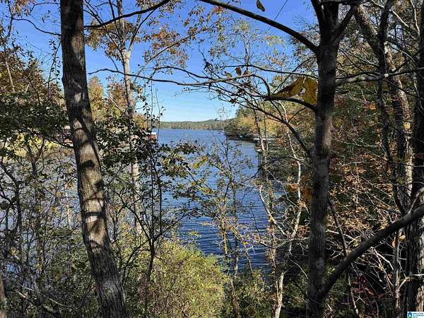 1 Acre of Land for Sale in Clanton, Alabama
