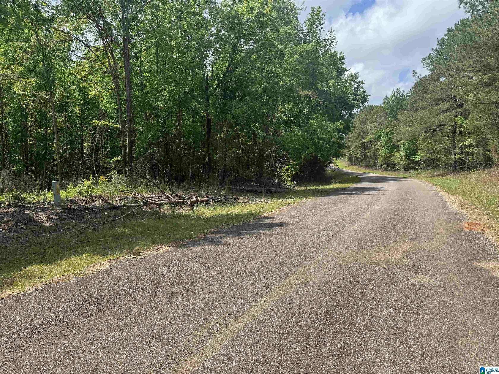 2.34 Acres of Land for Sale in Roanoke, Alabama