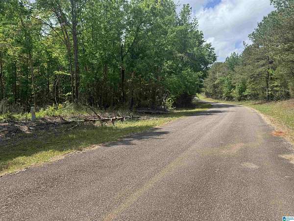 2.34 Acres of Land for Sale in Roanoke, Alabama