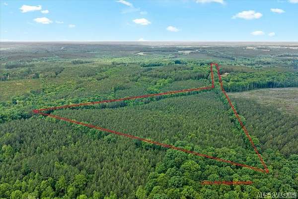 31.3 Acres of Land for Sale in Brodnax, Virginia