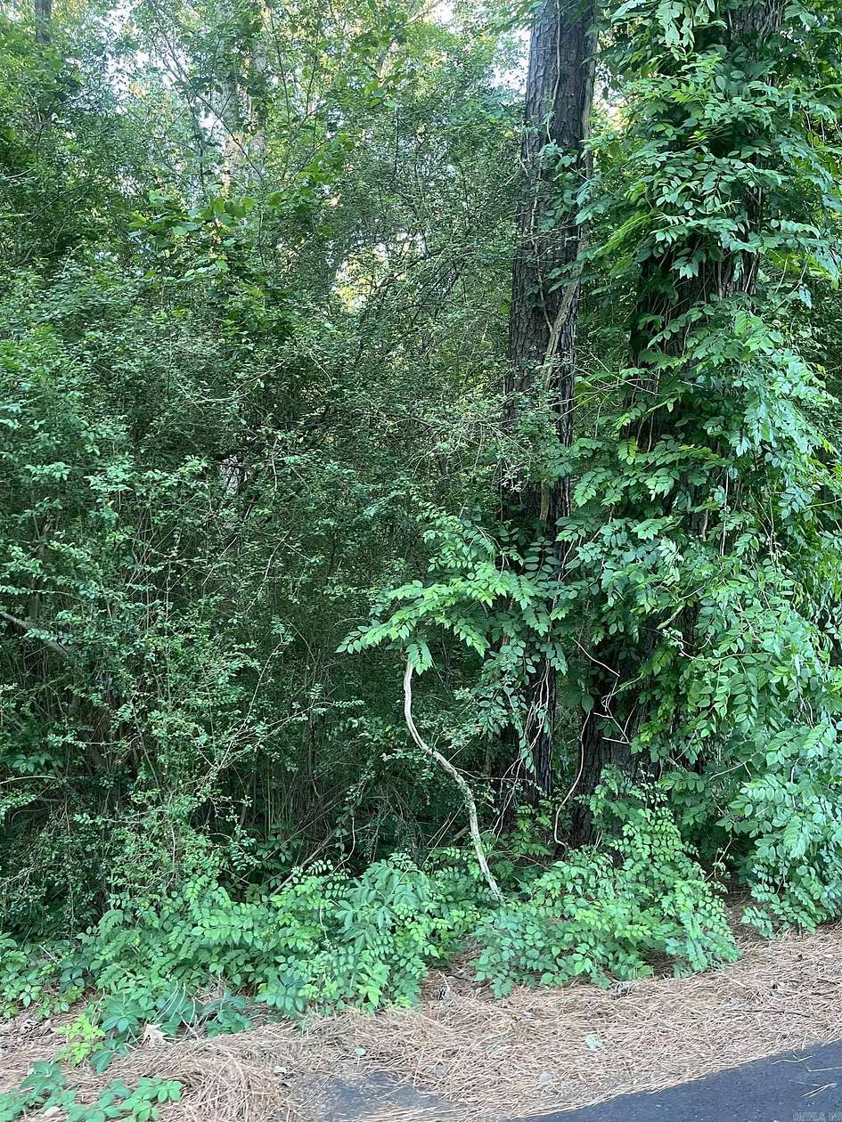 0.15 Acres of Residential Land for Sale in Monticello, Arkansas