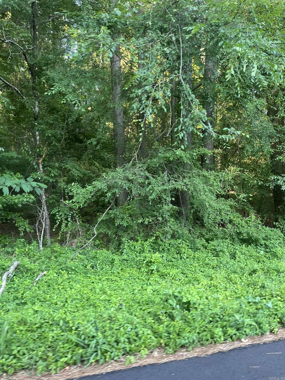 0.32 Acres of Residential Land for Sale in Monticello, Arkansas