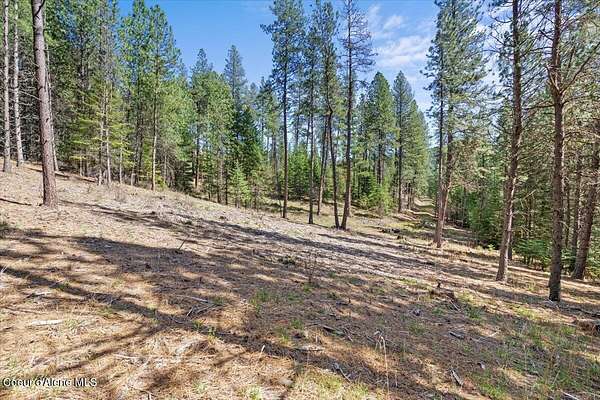 6.32 Acres of Residential Land for Sale in Harrison, Idaho
