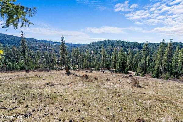 8.34 Acres of Residential Land for Sale in Harrison, Idaho