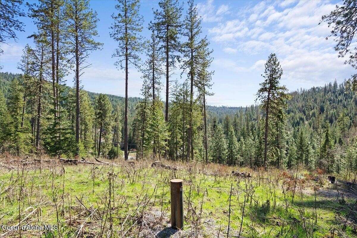 6.55 Acres of Residential Land for Sale in Harrison, Idaho