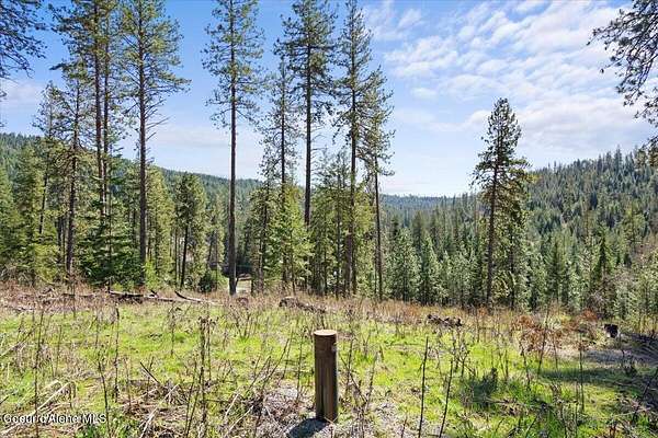 6.55 Acres of Residential Land for Sale in Harrison, Idaho