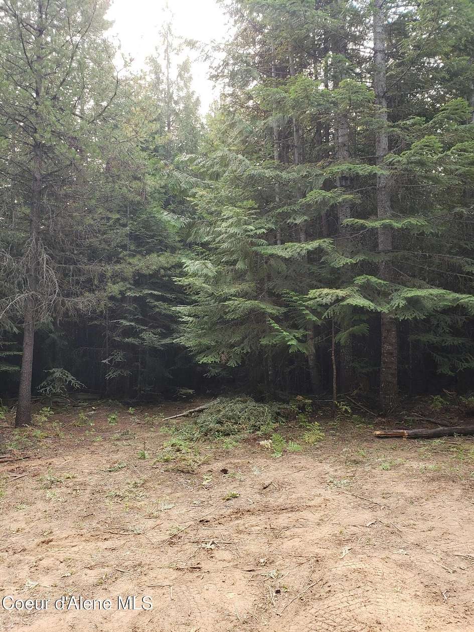 5 Acres of Land for Sale in St. Maries, Idaho