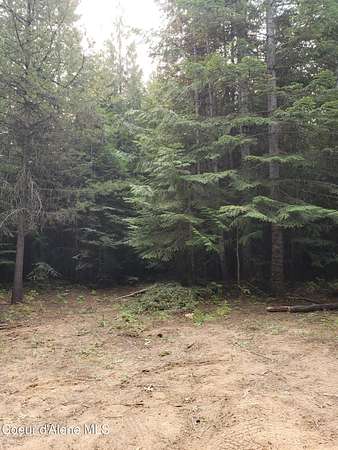5 Acres of Land for Sale in St. Maries, Idaho