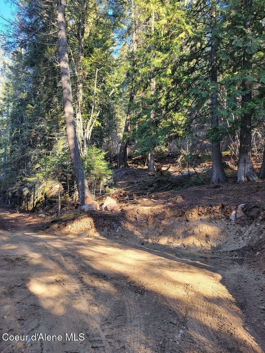5.5 Acres of Residential Land for Sale in Hope, Idaho