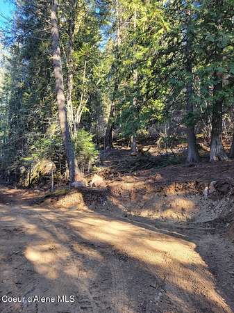 5.5 Acres of Residential Land for Sale in Hope, Idaho