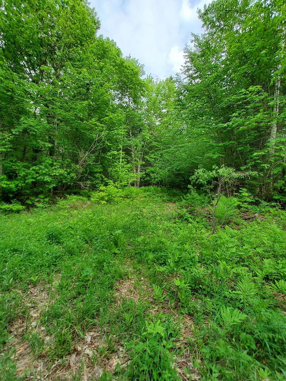69.1 Acres of Recreational Land for Sale in Andover, Maine