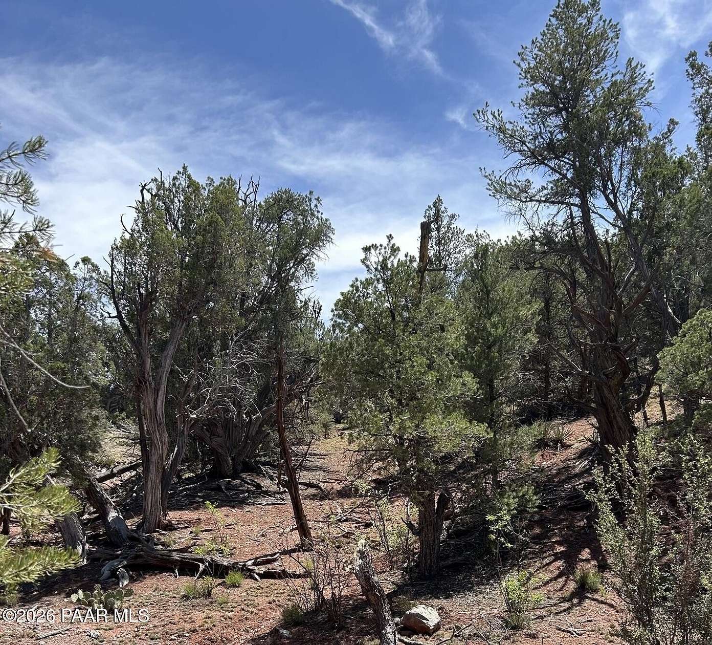 40 Acres of Recreational Land for Sale in Ash Fork, Arizona