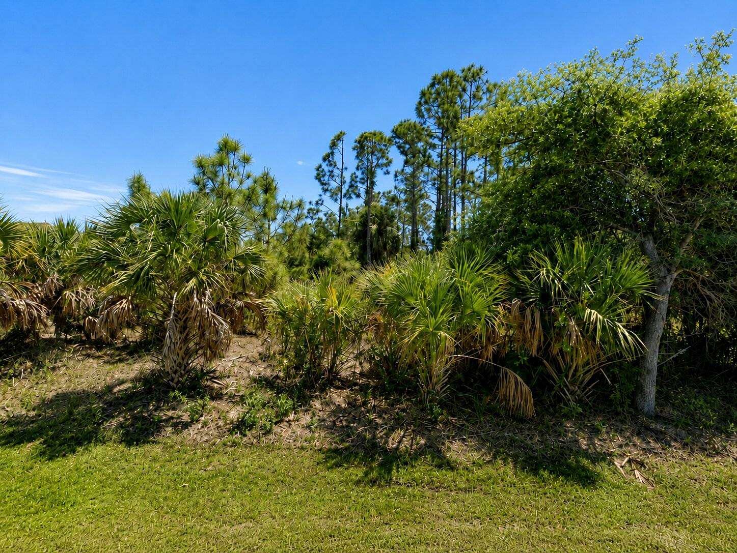 0.23 Acres of Residential Land for Sale in Englewood, Florida