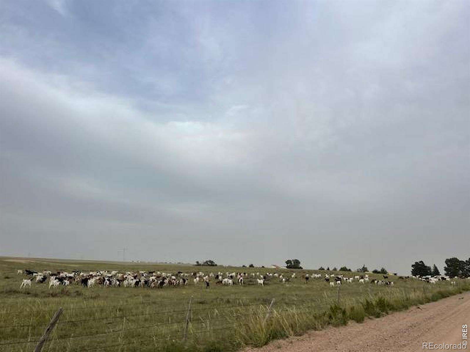 336 Acres of Land for Sale in Fleming, Colorado