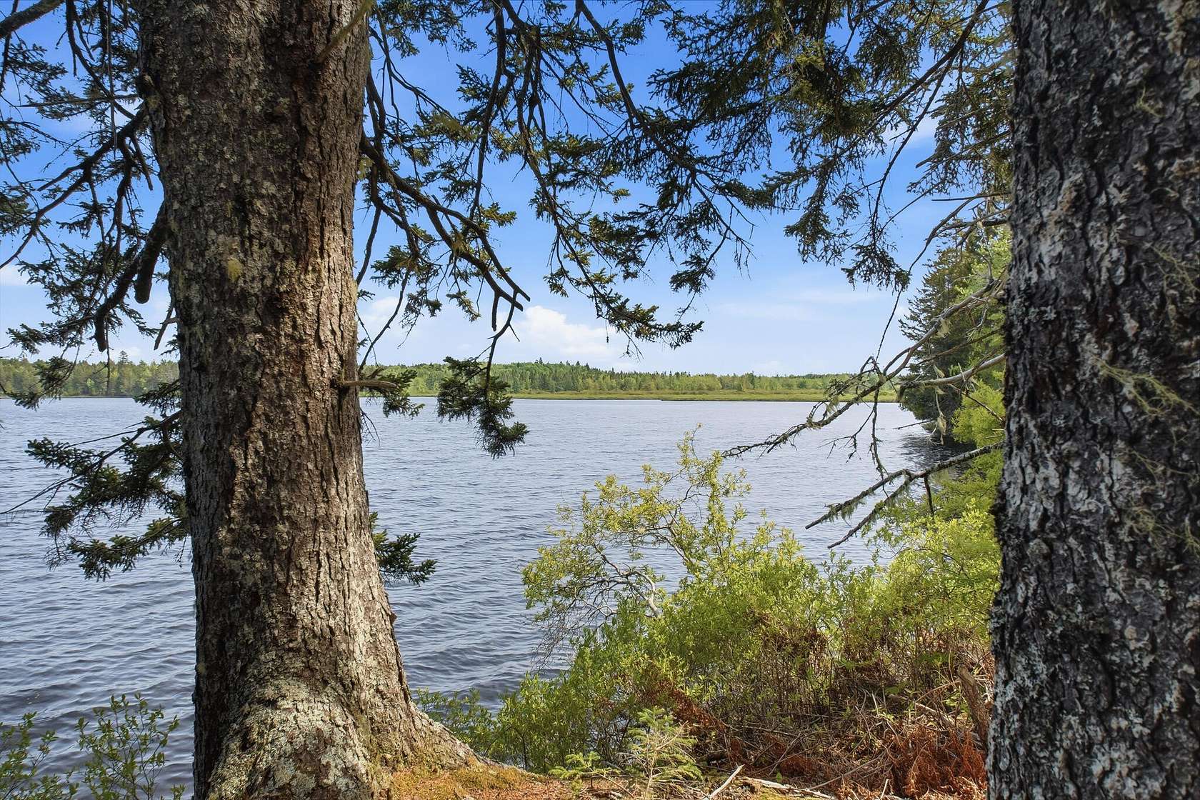 3.2 Acres of Residential Land for Sale in Whiting, Maine