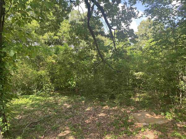 0.37 Acres of Residential Land for Sale in Paragould, Arkansas
