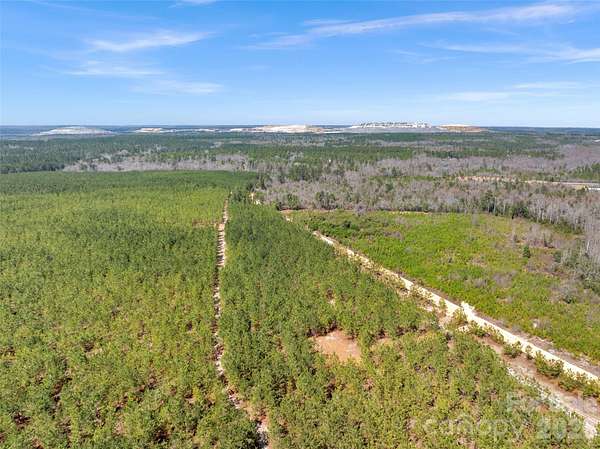 20 Acres of Land for Sale in Kershaw, South Carolina