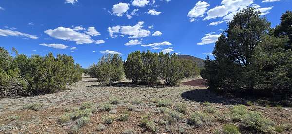 3.18 Acres of Residential Land for Sale in Williams, Arizona