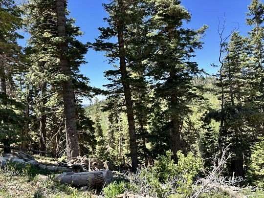 0.5 Acres of Residential Land for Sale in Duck Creek Village, Utah