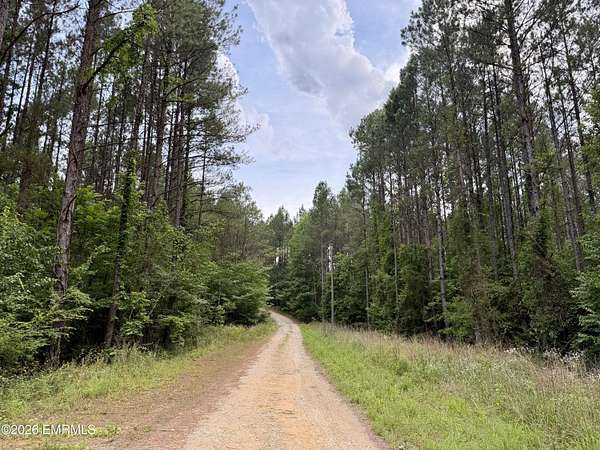 32 Acres of Recreational Land for Sale in Meridian, Mississippi