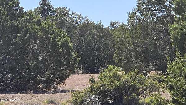 4.45 Acres of Residential Land for Sale in Williams, Arizona