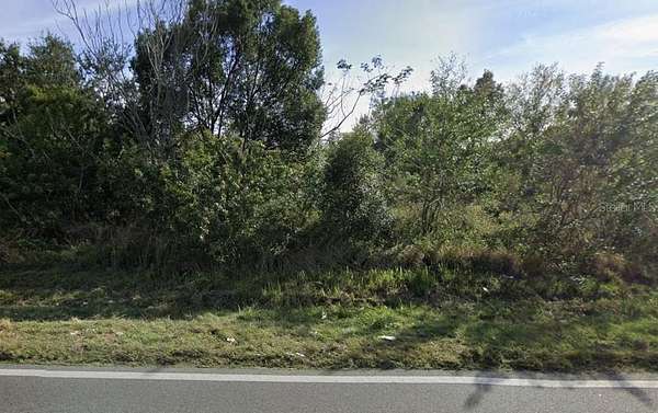 20 Acres of Land for Sale in Lakeland, Florida
