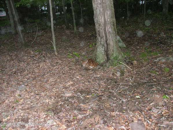 0.43 Acres of Residential Land for Sale in Pocono Lake, Pennsylvania