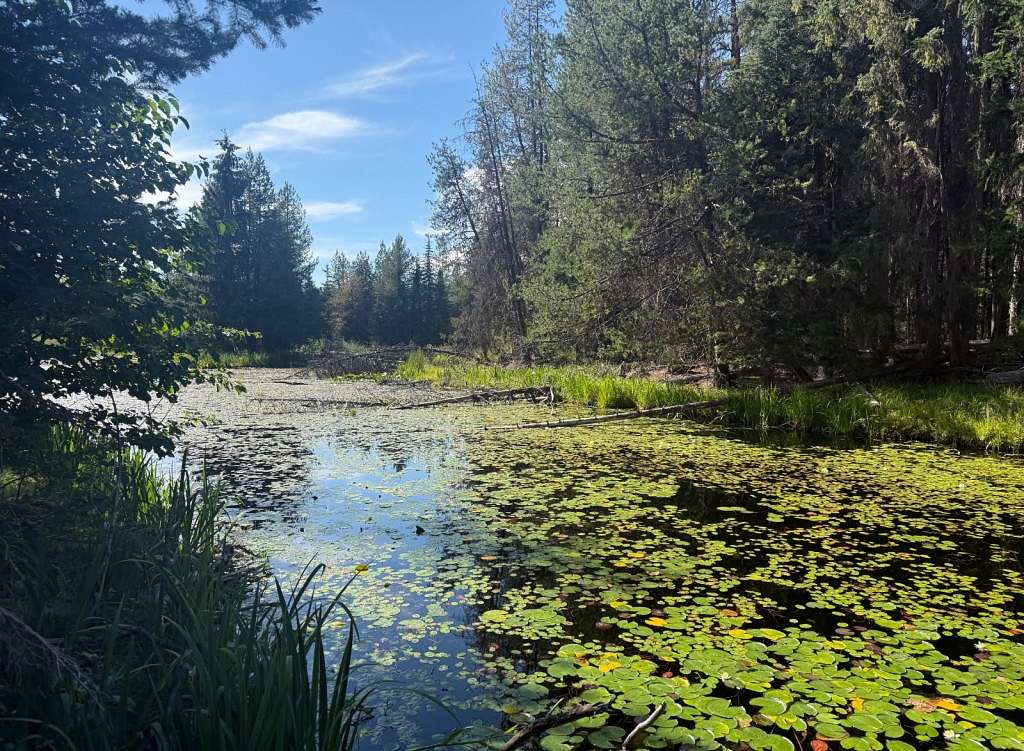 1.89 Acres of Land for Sale in Colville, Washington