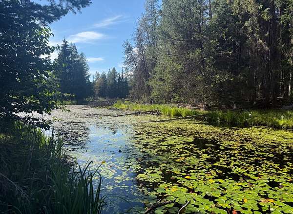 1.89 Acres of Land for Sale in Colville, Washington