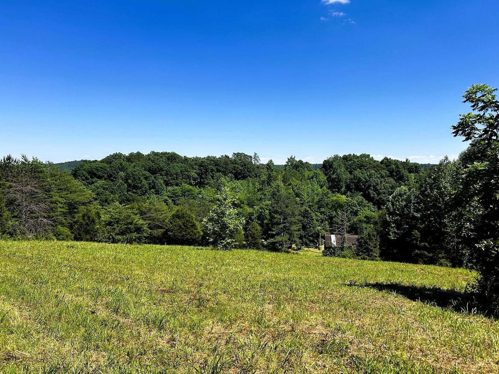 17.9 Acres of Recreational & Residential Land for Sale in Riceville, Tennessee