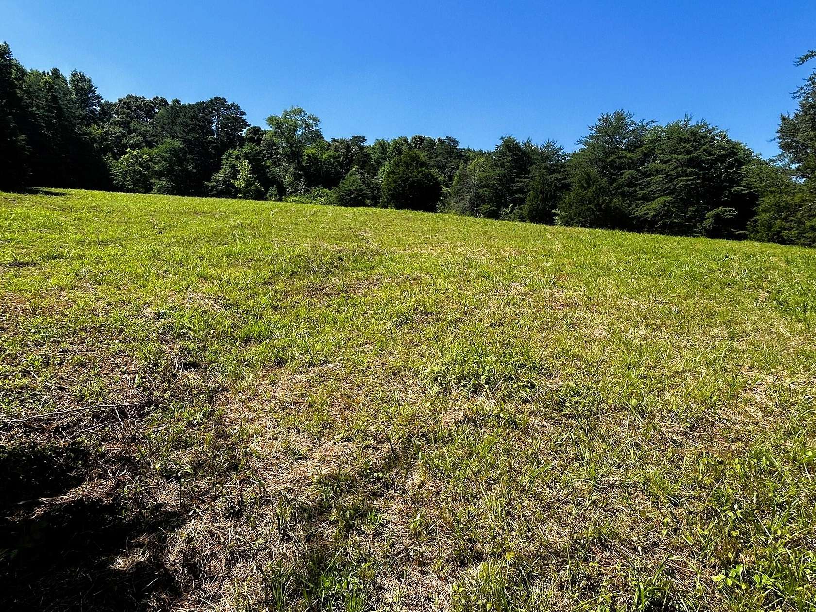 17.9 Acres of Land for Sale in Riceville, Tennessee