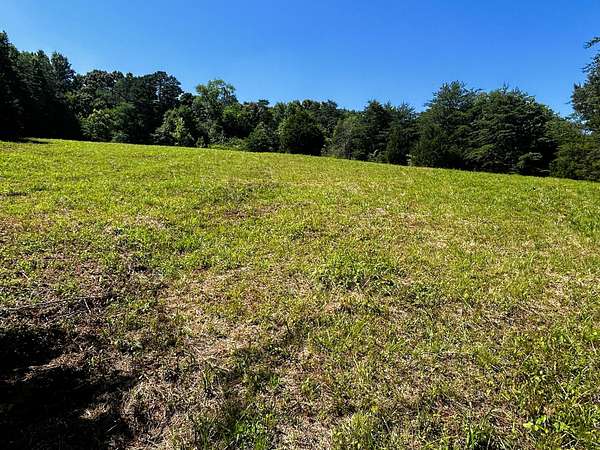 17.9 Acres of Land for Sale in Riceville, Tennessee