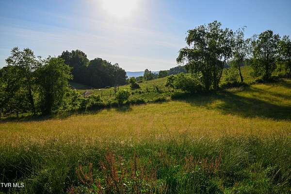1 Acre of Residential Land for Sale in Butler, Tennessee