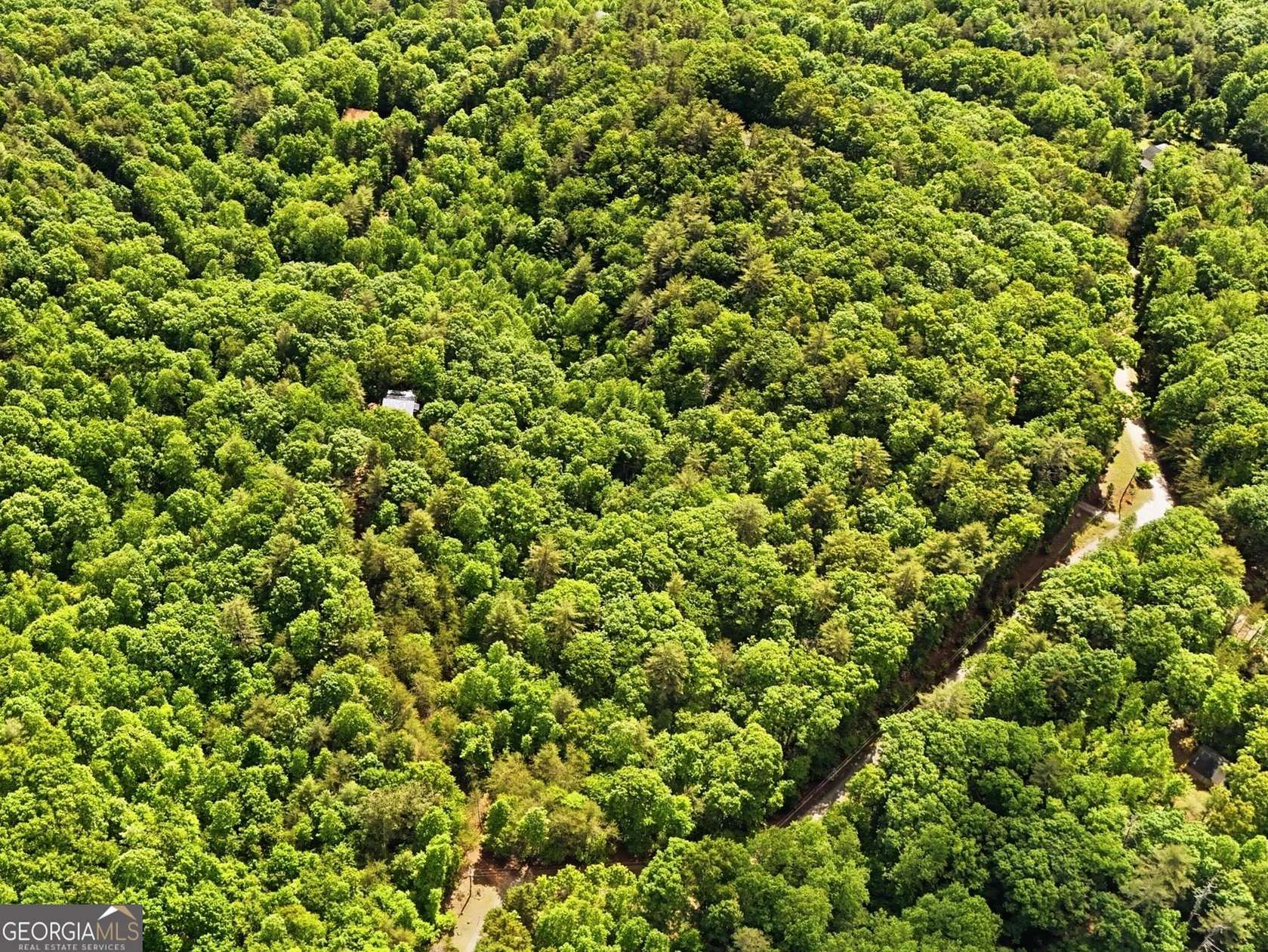 1.5 Acres of Land for Sale in Cleveland, Georgia