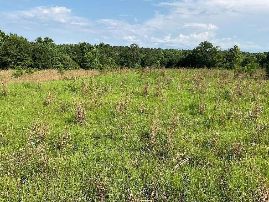 10.5 Acres of Recreational Land for Sale in Honoraville, Alabama