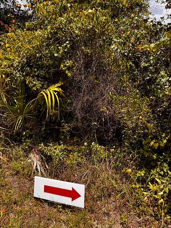 0.06 Acres of Residential Land for Sale in Elkton, Florida