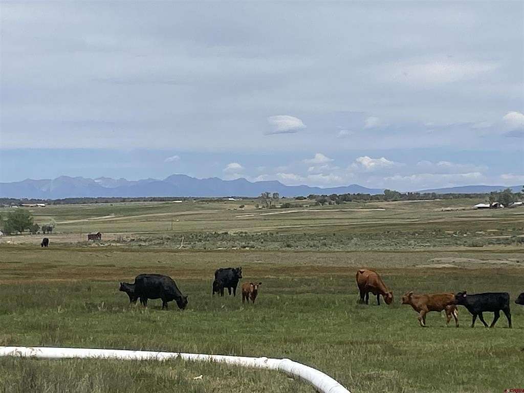 303 Acres of Agricultural Land for Sale in Ignacio, Colorado