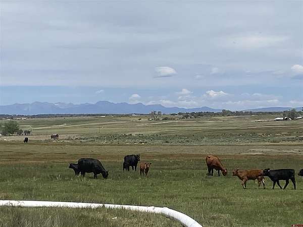 303 Acres of Land for Sale in Ignacio, Colorado
