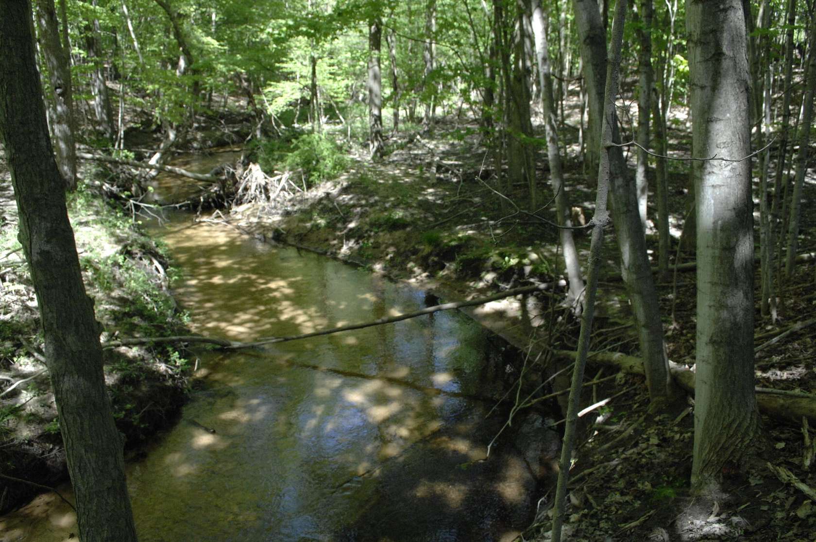 9.9 Acres of Residential Land for Sale in Shelby, Michigan