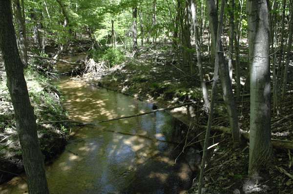 9.9 Acres of Residential Land for Sale in Shelby, Michigan