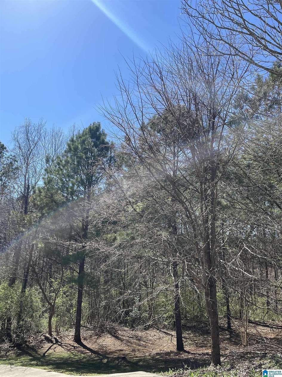 3 Acres of Land for Sale in Birmingham, Alabama