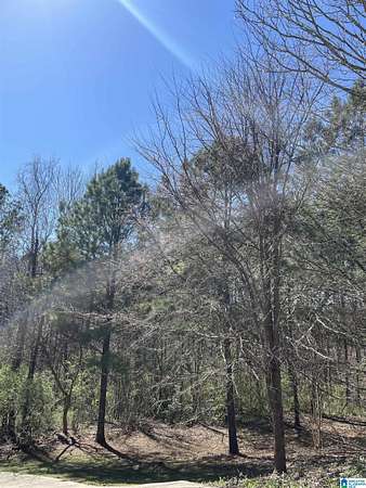3 Acres of Land for Sale in Birmingham, Alabama