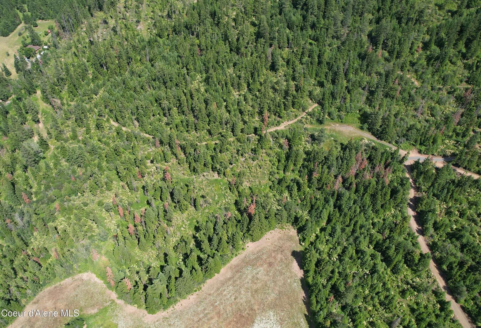 20 Acres of Land for Sale in Plummer, Idaho