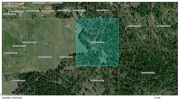 20 Acres of Land for Sale in Plummer, Idaho