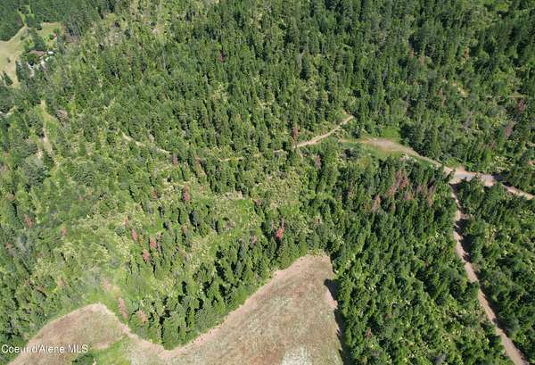 20 Acres of Land for Sale in Plummer, Idaho