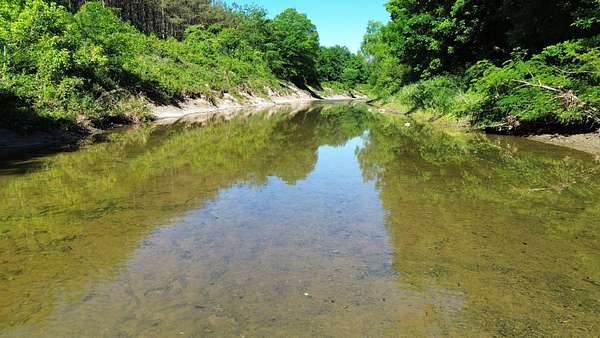 312 Acres of Land for Sale in Houlka, Mississippi